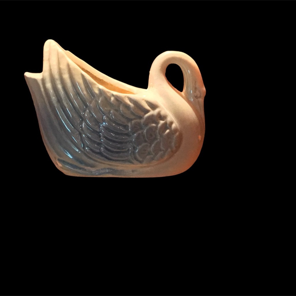 Swan 🦢 - Picture 2 of 2